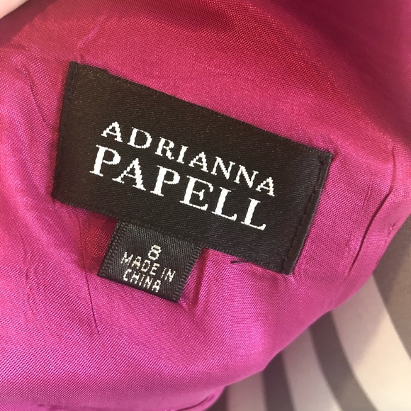 Adrianna Papell Silk Blend Dress 8 NWT - Picture 5 of 6